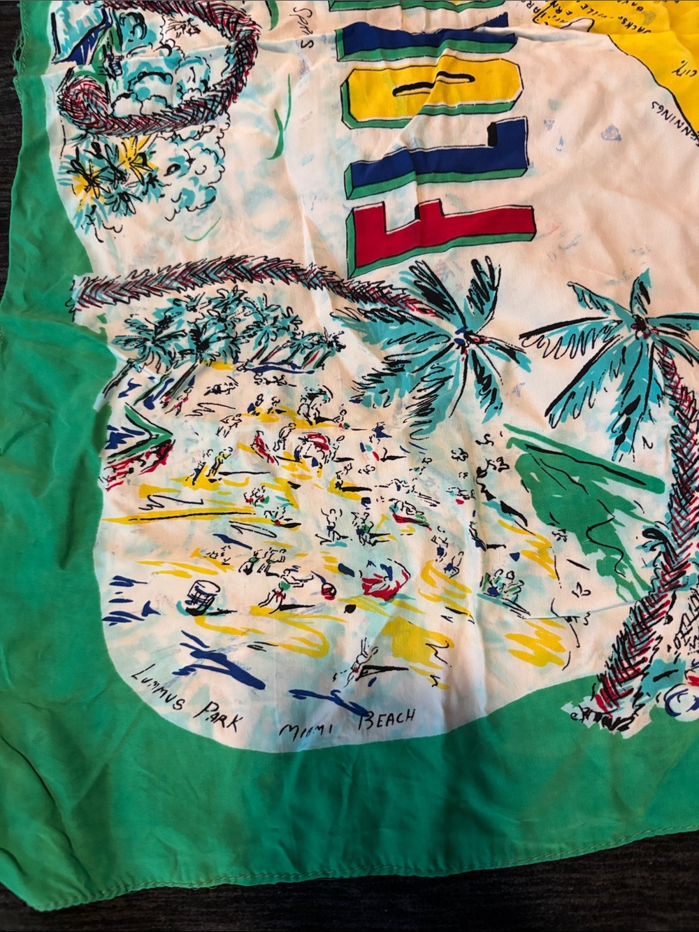 Vintage Delta Air Lines Florida Print Green Border Silk Scarf - Picture 8 of 17